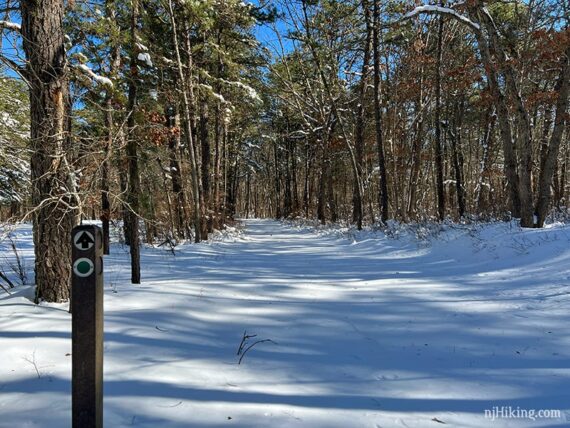 Green trail marker post next to flat snow covered trail