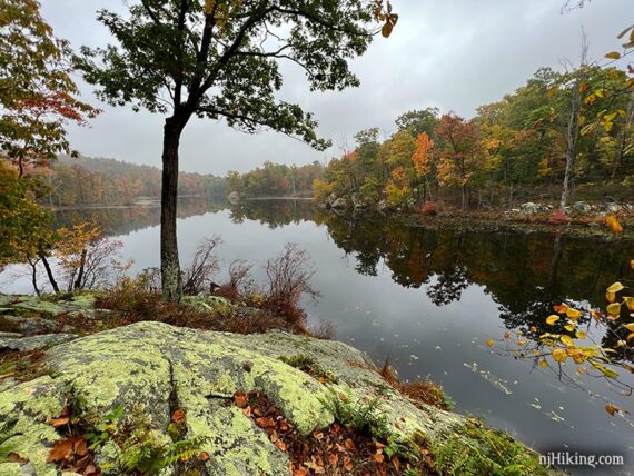 Large moss covered rock next to a lake