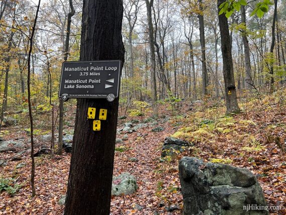 Tree with directional sign and yellow trail markers