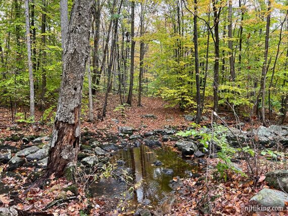 Wet rocky stream crossing