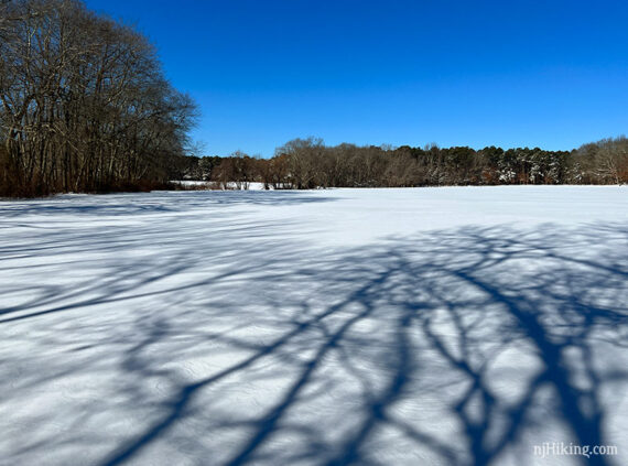 Snow covered field with tree shadows