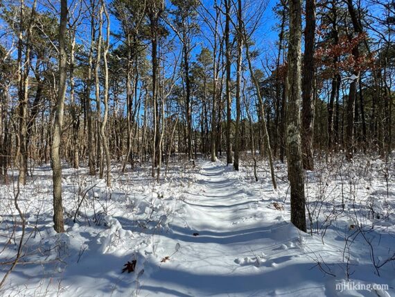 Unbroken snowy trail