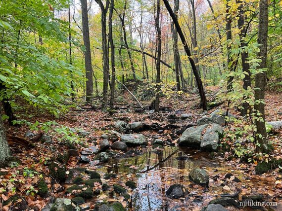 Rocky stream