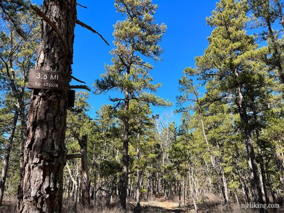Wooden trail sign with 3.5 miles to Atsion.