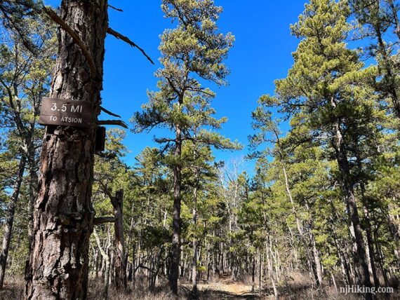 Wooden trail sign with 3.5 miles to Atsion