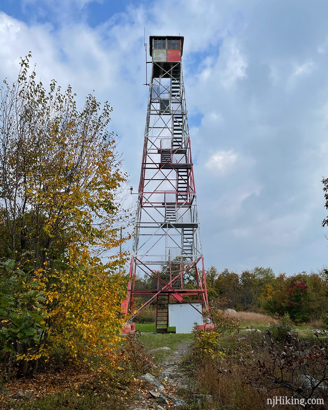 Rattlesnake Swamp Catfish Fire Tower Loop