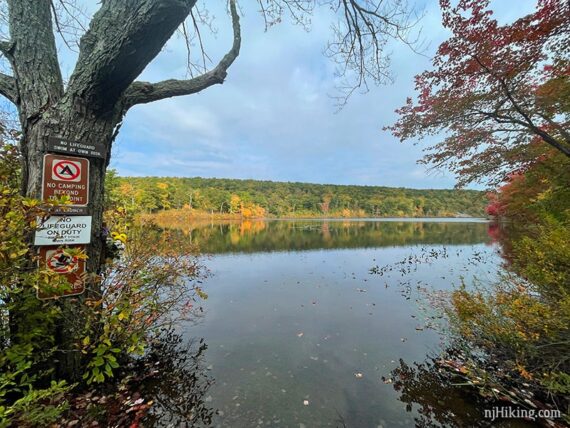 Tree with signs next to a pond with colorful fall foliage