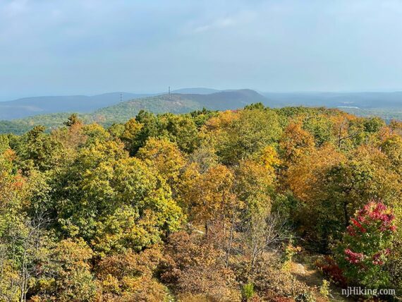 Undulating hills covered in fall foliage seen from up a fire tower