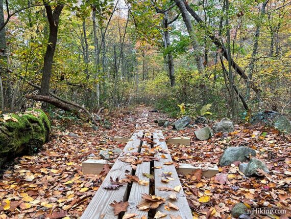 Wooden plank boardwalk on a leaf covered trail
