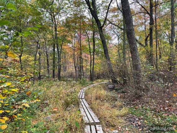 Wooden plank walkway on a trail