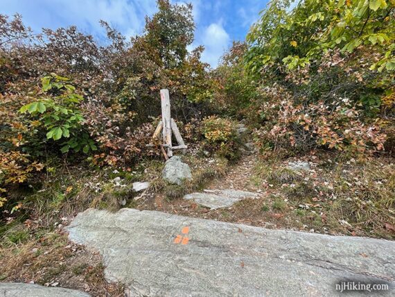 Wooden trail post and three orange markers on a rock.