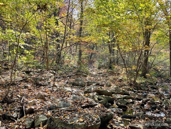 Rocky covered hiking trail