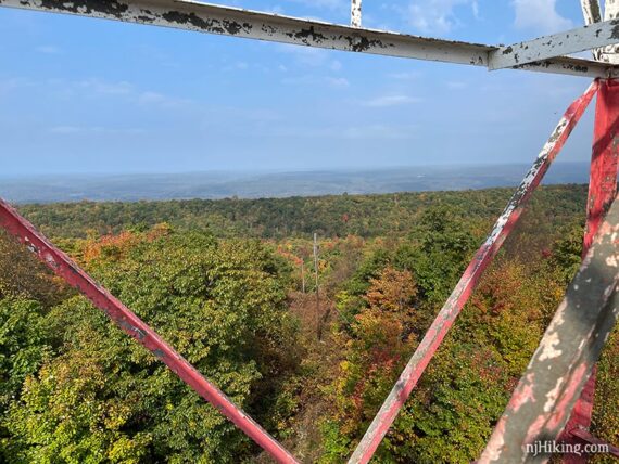 Trees seen in the distance from between the metal rungs of a tower