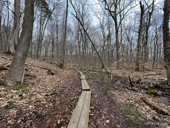 Long thin wooden plank boardwalk over a wet trail