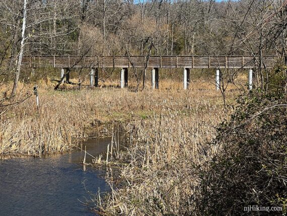 Long wooden raised bridge over a stream with marshy grasses