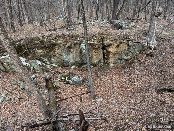 Remains of a limestone quarry