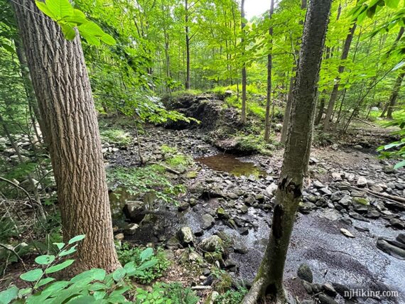 North Valhalla Brook and falls with no water