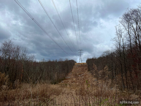 Crossing a power line cut