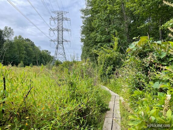 Narrow plank boardwalk in a grassy area under a tall power tower.