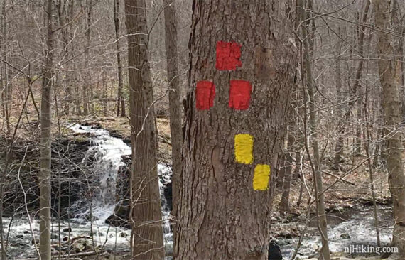 Red and yellow markers on a tree in front of Valhalla Falls