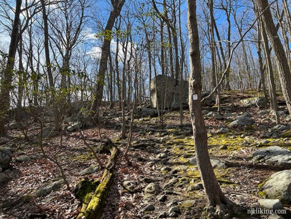 Rocky trail with glacial erratic in the distance