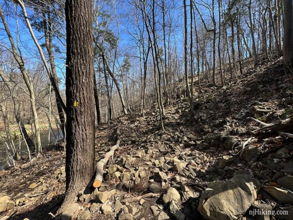 Trail covered with small rocks with a yellow marker on a tree