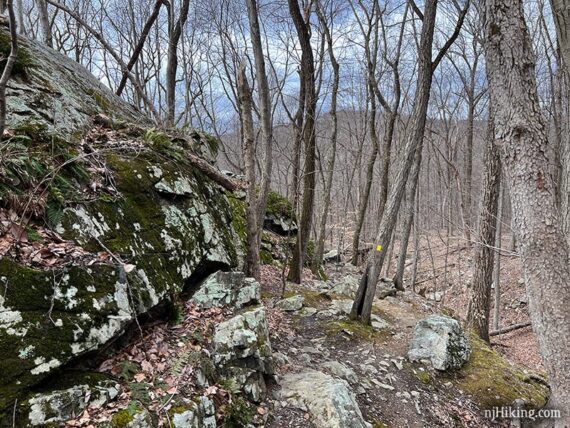 Yellow trail marker on a tree next to a large rock face