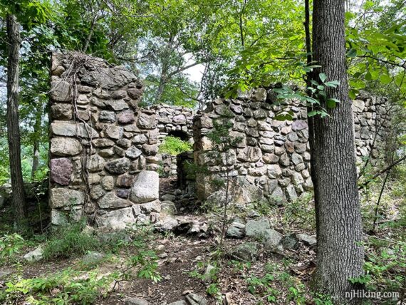 Stone cabin remains.