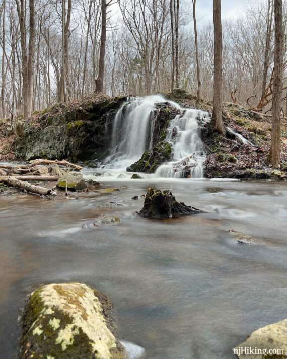 Valhalla Falls with a tree stump in the pool of water in front of it