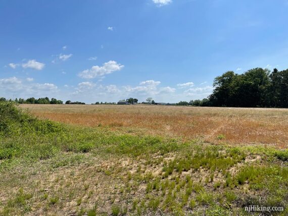 Farm field and house in the distance.