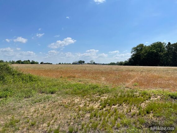 Farm field and house in the distance