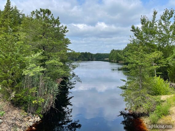 River with tree covered land jutting in from either side.