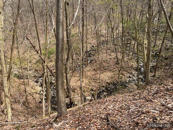 View of a stream running through Musconetcong Gorge from a hill