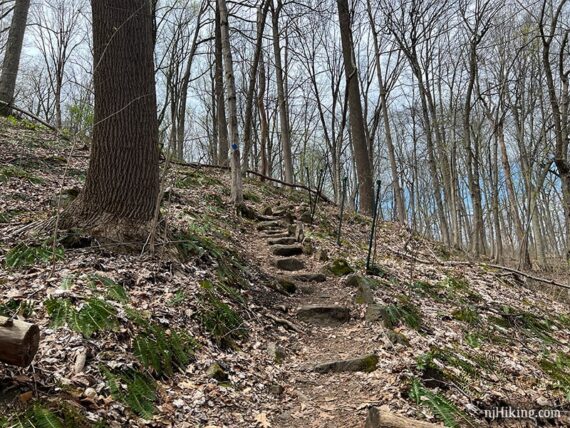 Steps on a steep trail