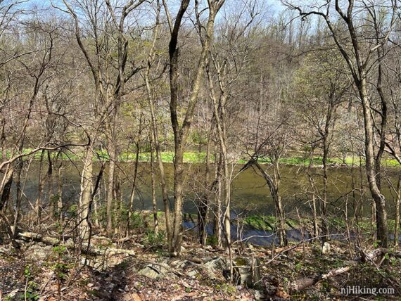 View of a river through leafless trees