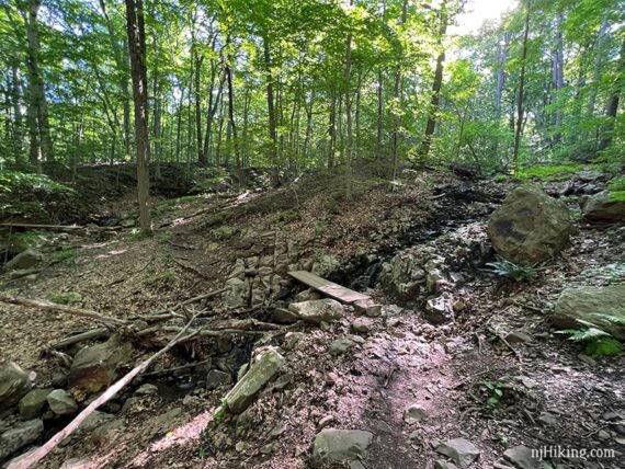 Wooden planks across Beech Brook Cascades.