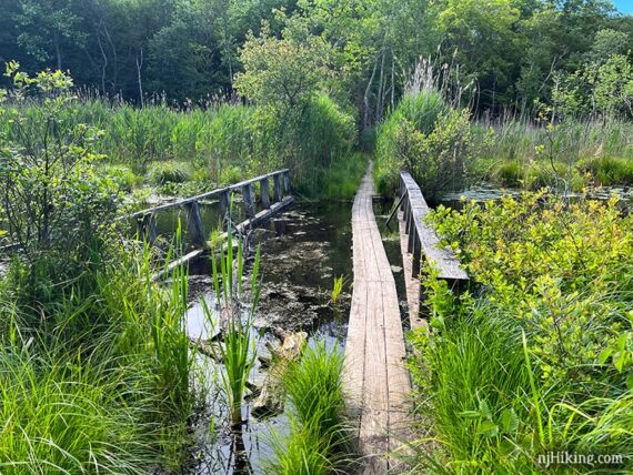 Nearly submerged wooden bridge with three plank wide section on top of it