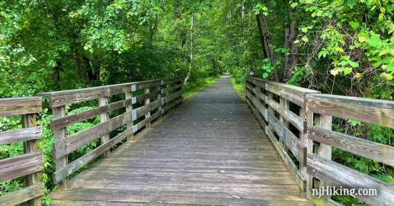 Wide wooden trail bridge with green trees around it