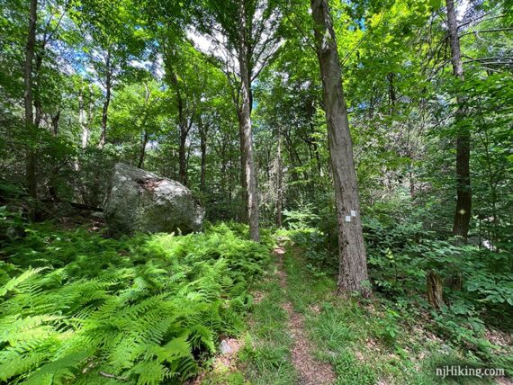 White trail makers indicating a right turn with a large boulder on the left