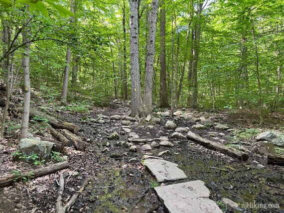 Stones places on a muddy trail.