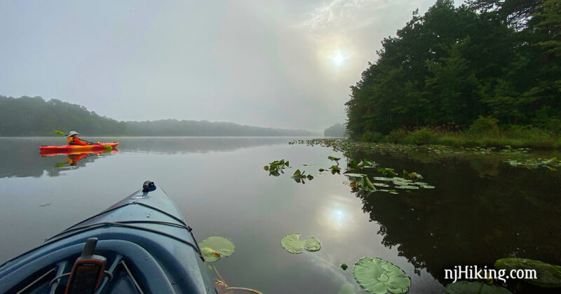 Kayaks on a calm lake with lily pads.