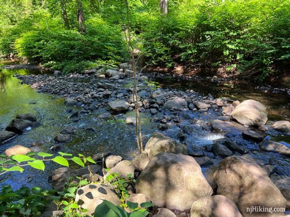 Stream crossing on the Rahway Trail