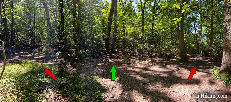 Photo showing a trail intersection.