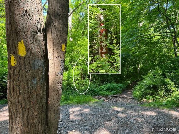 Rahway trail post.