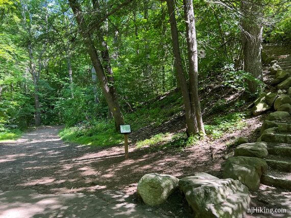 Yellow trail to the left and stone steps to the right.