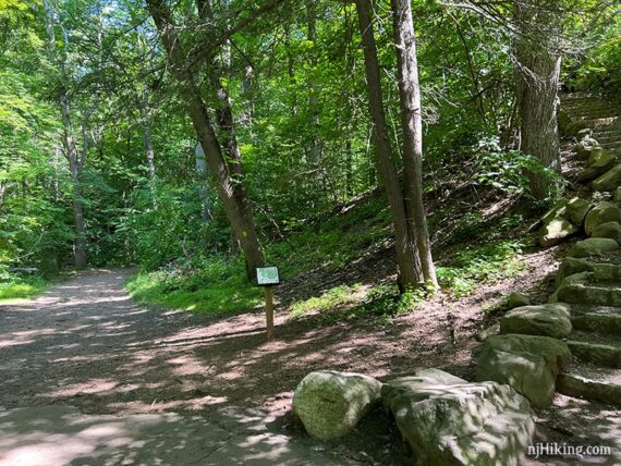 Yellow trail to the left and stone steps to the right