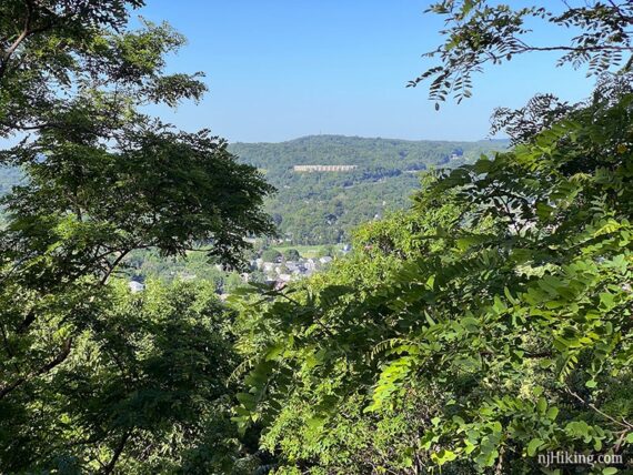 View of a hill through trees.