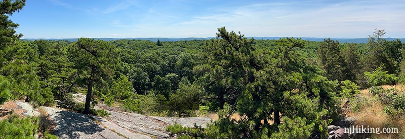 Wide view over green trees with low mountains in the distance