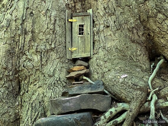 Rock steps leading to a wooden door in the base of a tree trunk.