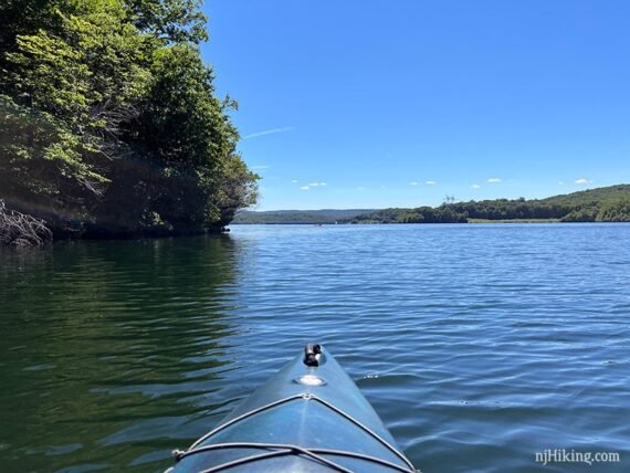 Kayak with green trees along the shore.